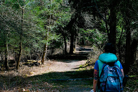 Walking the path with friends.