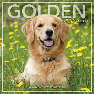 2018 Golden Retrievers Wall Calendar (Landmark)