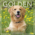 Download 2018 Golden Retrievers Wall Calendar (Landmark) PDF by Landmark (Calendar)