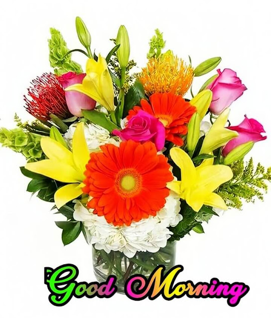 Flowers Good Morning Images HD