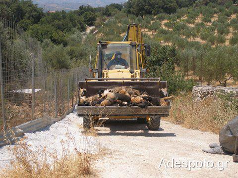 Η φωτογραφία που κάνει το γύρο του κόσμου - Αυτή είναι η Κρήτη;