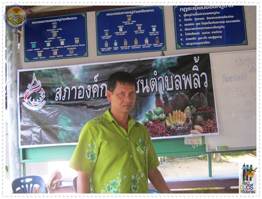 photo suwet