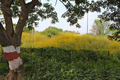 Old Mumbai Pune Highway