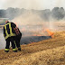 Birgelen - 25.000 qm Feld in Flammen 