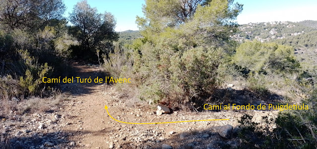 CUNIT - PUIG DE LA MINA - PUIGDETIULA-TURÓ DE L'AVENC - AVENC SANT ANTONI, Camí al Turó de l'Avenc