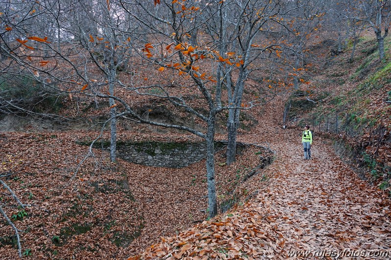 Ruta otoñal por los castañares de Pujerra e Igualeja