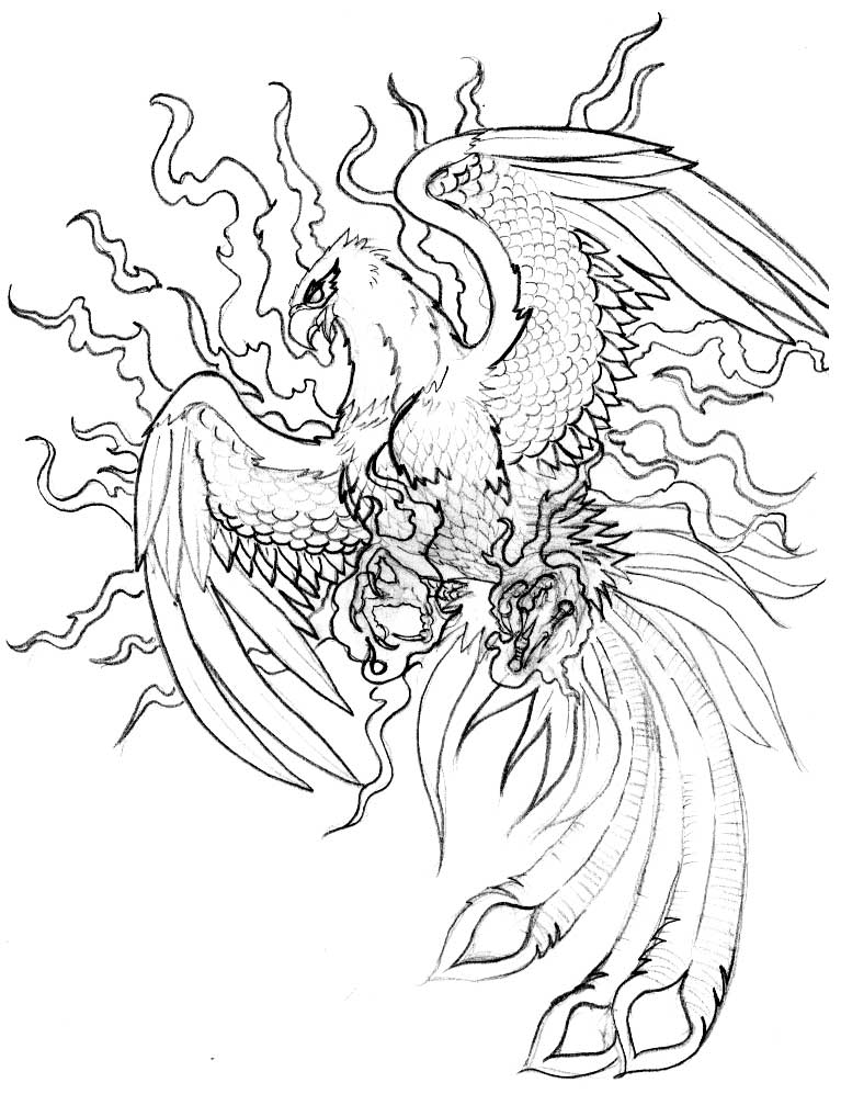  phoenix tattoo meaning phoenix tattoo phoenix tattoo raleigh phoenix
