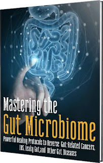 Mastering the Gut Microbiome ebook