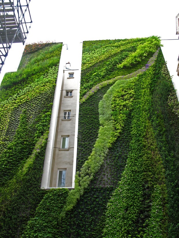 vertical garden by patrick blanc 3