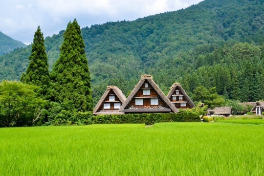 Shirakawa-go dan Gokayama, Jepang