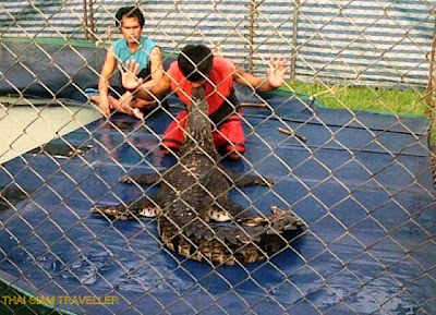 TST Crocodile Show, TH