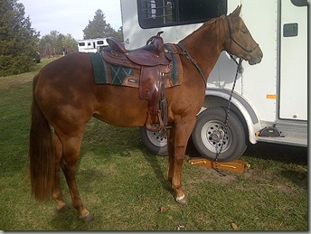 BB and NEW MARE 087