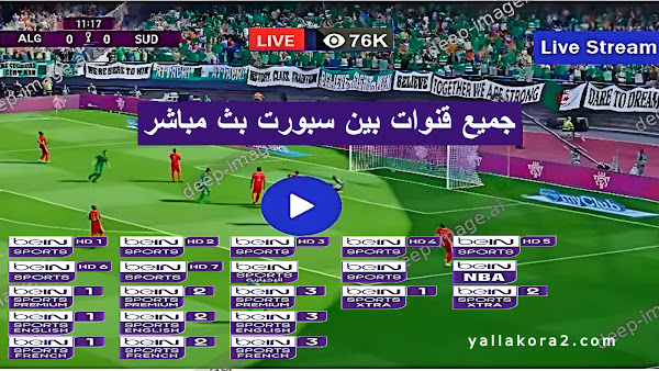 مشاهدة قناة بي ان سبورت لايف Live beIN Sports 1 2 3 4 5 6 بث مباشر بدون تقطيع يلا لايف