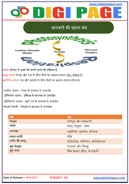 DP | RESPIRATORY ORGANS OF ANIMALS | 19 - JUNE - 17 |   