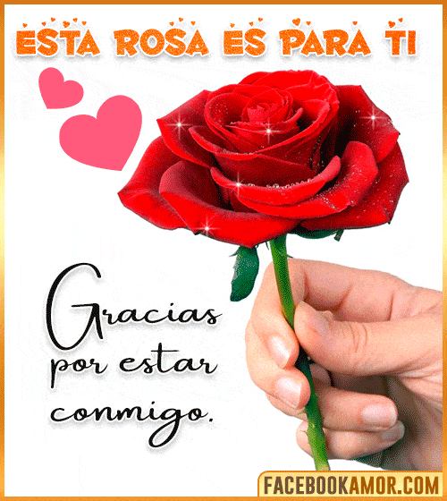 Imágenes de Rosas Rojas con frases de Amor