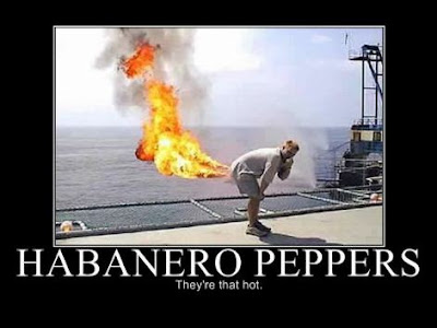 Habeneros - They are THAT hot!