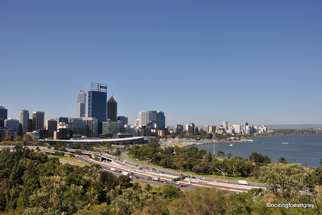 Perth Skyline from Kings Park, Western Australia