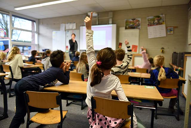 ▷ Diseño Universal para el Aprendizaje en Acción 🥇