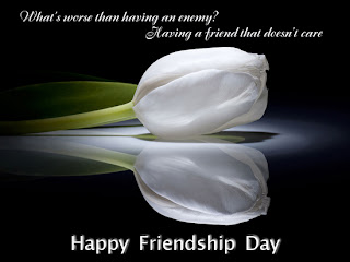 friendship day quotes and pictures