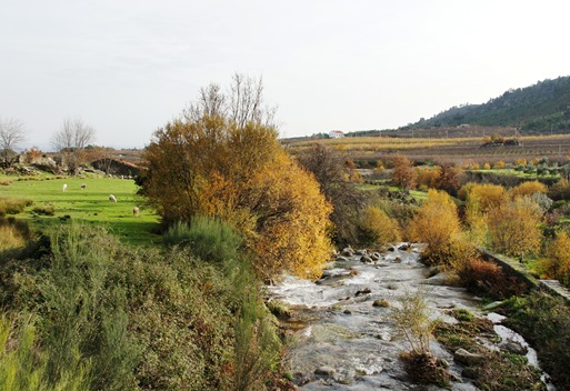 Castelo Novo - ribeira da Alpreada