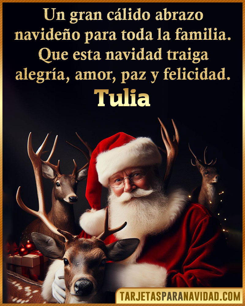 Tarjetas Navideñas personalizadas para Tulia