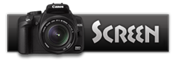 Styria (2014) HDRip 480p 300MB Screen