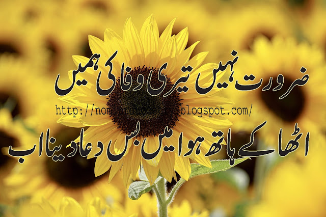  urdu poetry urdu shayari sad poetry in urdu love poetry in urdu urdu ghazal