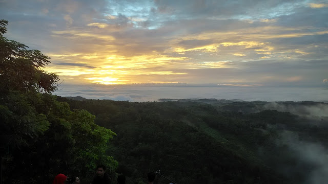 Kebun Buah Mangunan Imogiri Bantul Yogyakarta