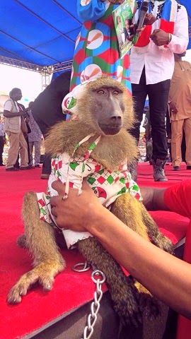 Pic: Did APC Actually Call PDP Members Baboons?