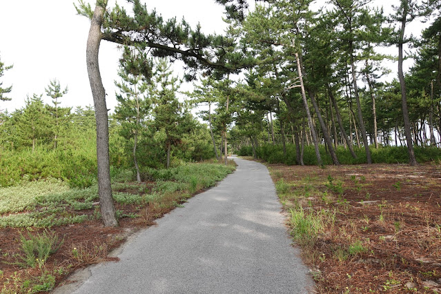 鳥取県米子市弓ヶ浜公園