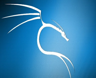 ما يجب عليك فعله مباشرة بعد تثبيت kali linux على هاتفك قبل الشروع في محاولة الاختراق