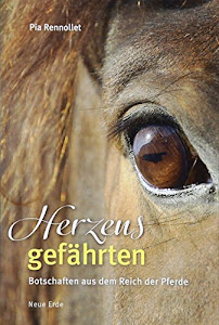 Herzensgefährten: Botschaften aus dem Reich der Pferde
