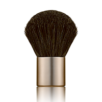 kabuki brush