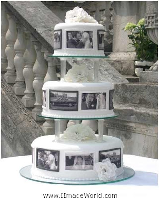  with your theme ex shell adorned cake for a beach themed wedding 