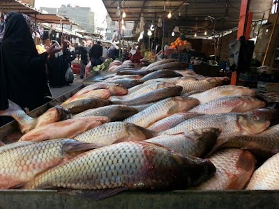 الزراعة: 3 أسباب لارتفاع أسعار الأسماك في الأسواق وتحركنا بمستويين
