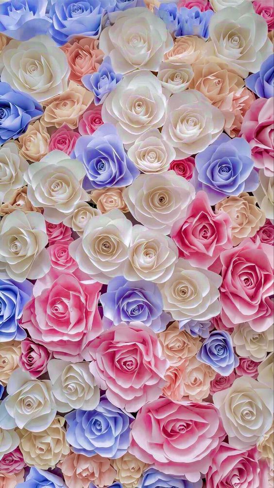 wallpaper for iphone flowers