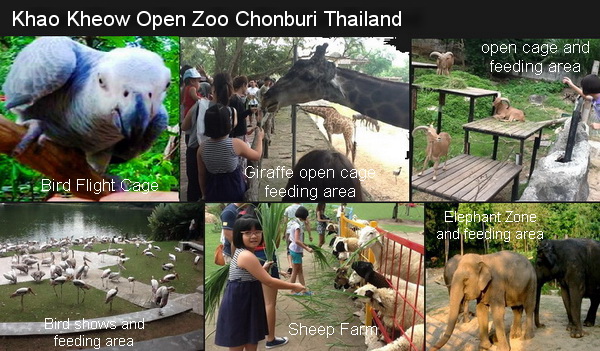  Thailand Biggest Zoo