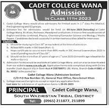 Cadet College Wana South Waziristan Jobs 2023 Download Advertisement