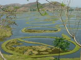 Lake with islands that move on their own in India