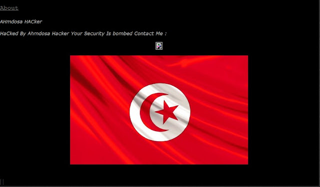 Israeliens Websites Hacked By Ahmdosa !