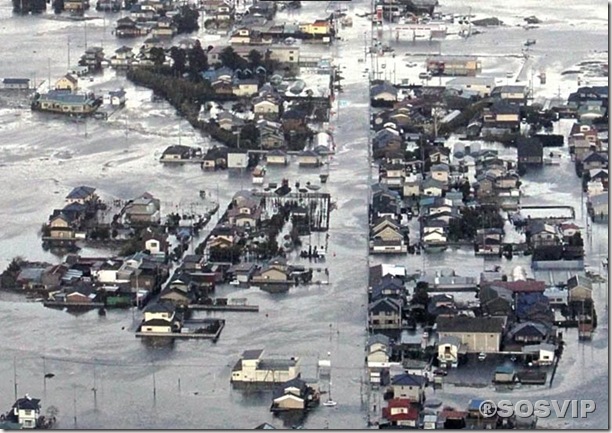 Tsunami Japao Terremoto.jpg (1)