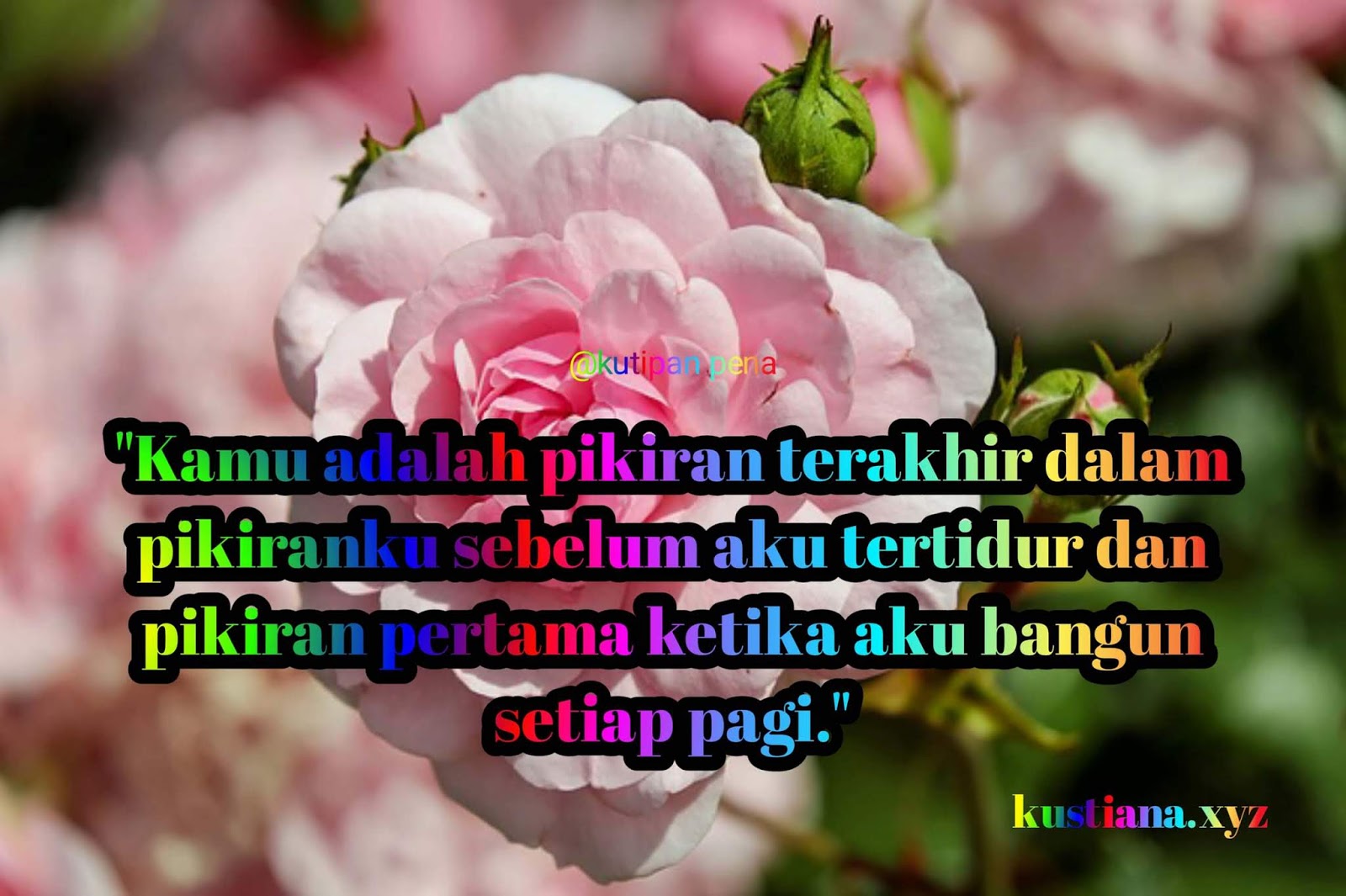 35 Kata Kata Cinta, Quotes Berkelas Status FB Caption Instagram