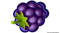 blueberry clipart free