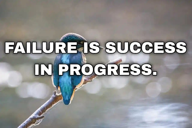 Failure is success in progress. Albert Einstein
