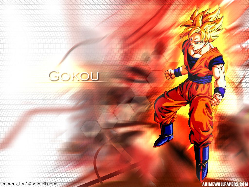 Dragon Ball Anime Wallpaper 