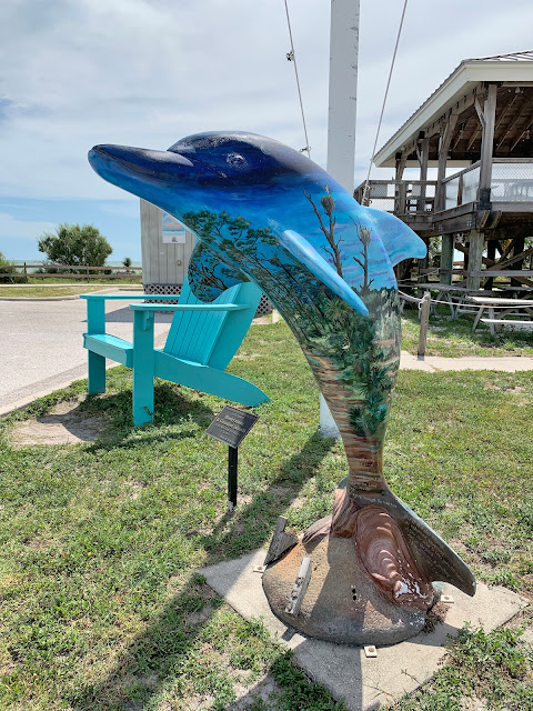 Honeymoon Island dolphin