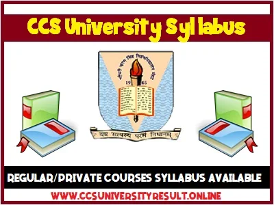 CCSU Syllabus 2024