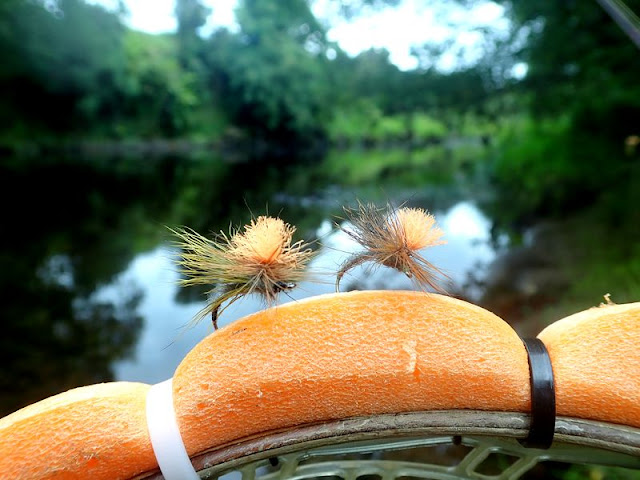 Quelles mouches truites en Irlande