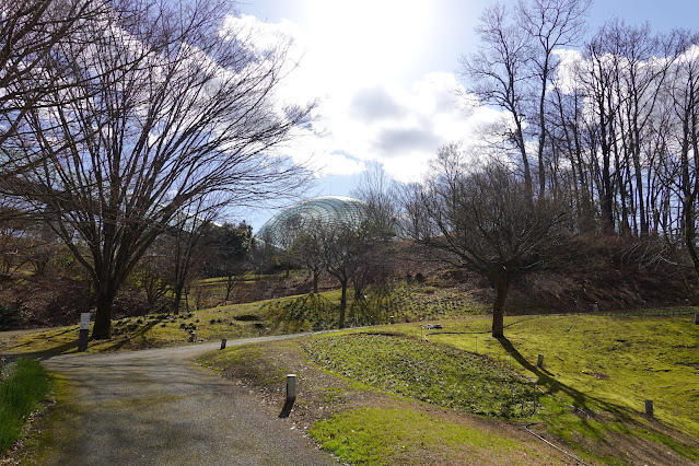 鳥取県西伯郡南部町鶴田 とっとり花回廊 花の谷