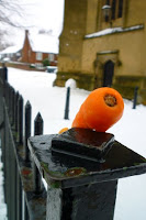 carrot on fence; photo by Val Phoenix